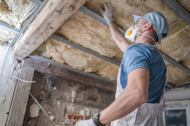 Best Specialized Insulation Services in San Lorenzo, CA
